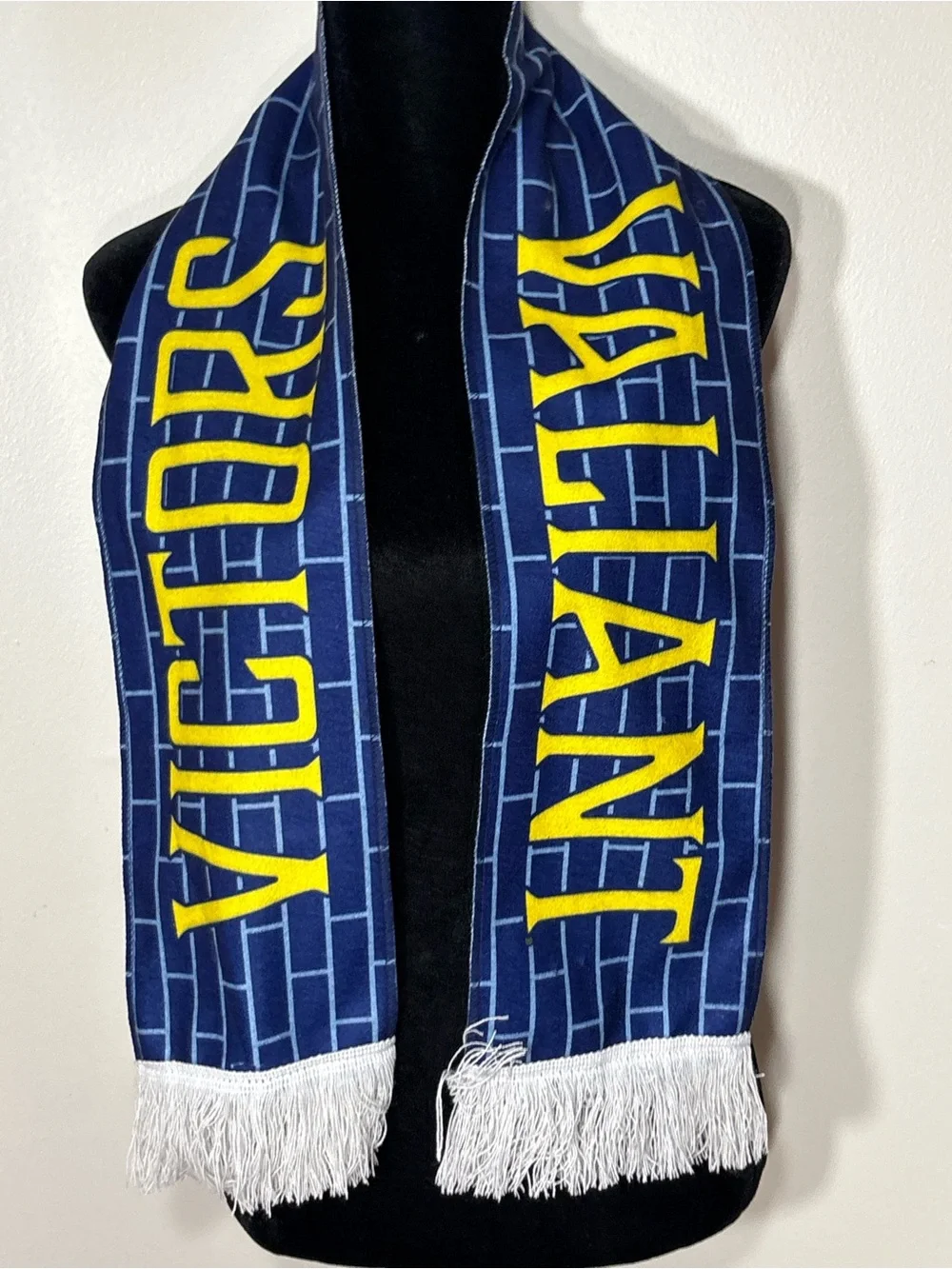 Michigan Wolverines Scarf NWOT